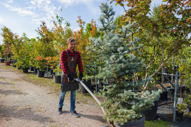 Best Commercial Tree Services  in Hudson, NC